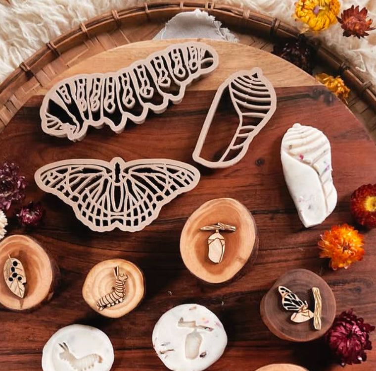 Monarch Butterly Lifecycle Eco Cutter Set